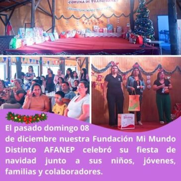 Fiesta de Navidad de nuestra Fundación 2025